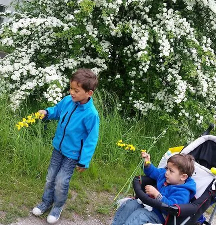 Rundvejen